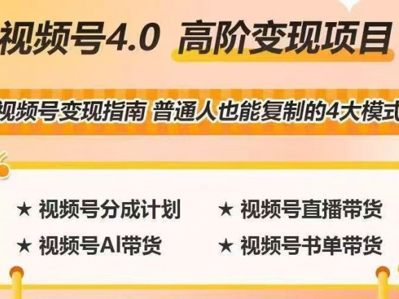 视频号高阶变现项目